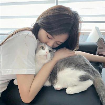血战唐人街